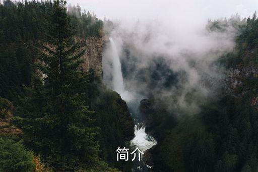 简介
