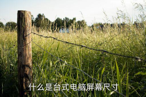 什么是台式电脑屏幕尺寸