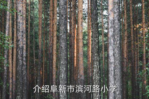 介绍阜新市滨河路小学
