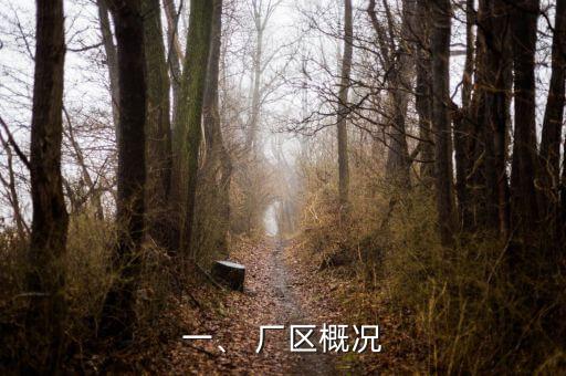 一、 厂区概况