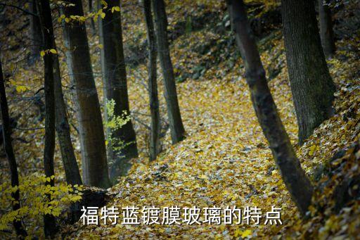 福特蓝镀膜玻璃的特点