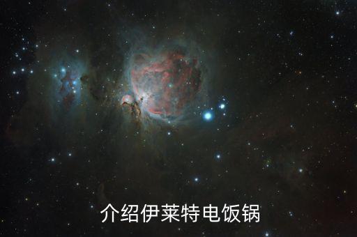 介绍伊莱特电饭锅