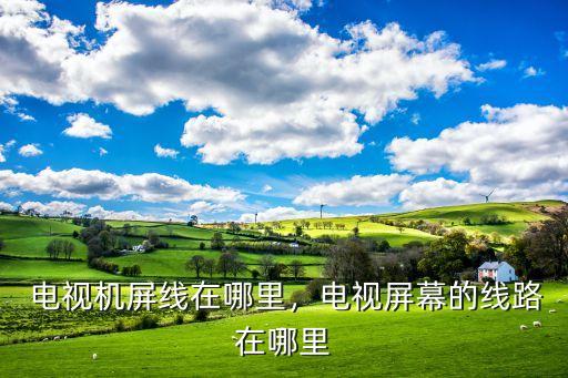 电视机屏线在哪里,电视屏幕的线路在哪里