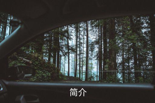 简介