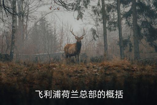飞利浦荷兰总部的概括