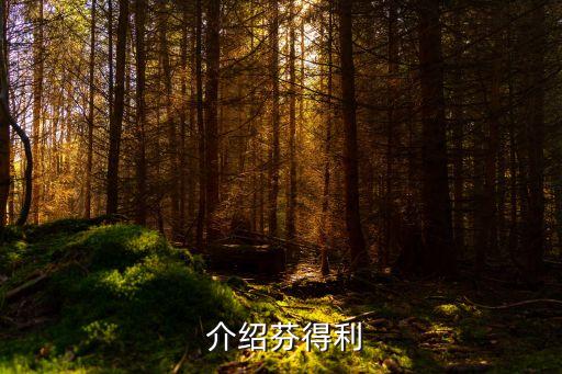 介绍芬得利