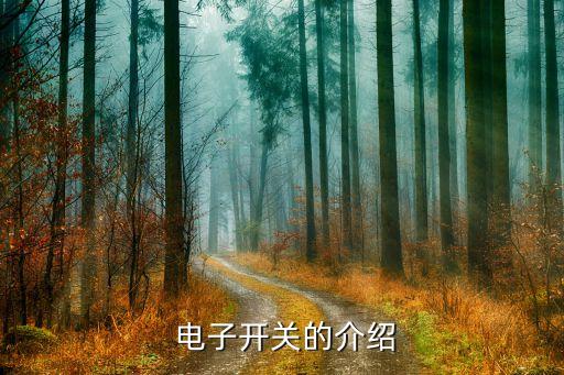 电子开关的介绍
