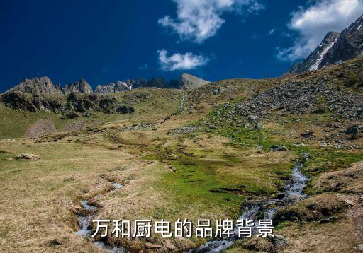 万和厨电的品牌背景