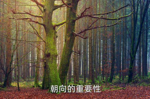 朝向的重要性