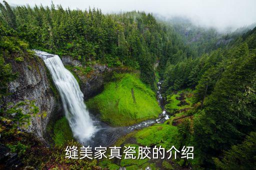 缝美家真瓷胶的介绍
