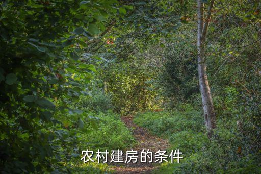农村建房的条件