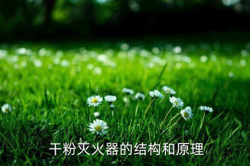 干粉灭火器的结构和原理