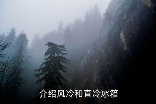 介绍风冷和直冷冰箱