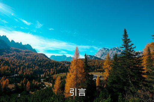引言
