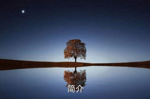 简介