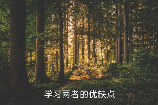 学习两者的优缺点