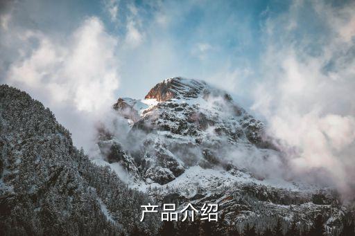 产品介绍