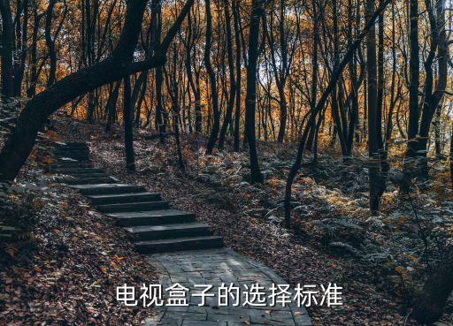 电视盒子的选择标准