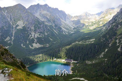 简介