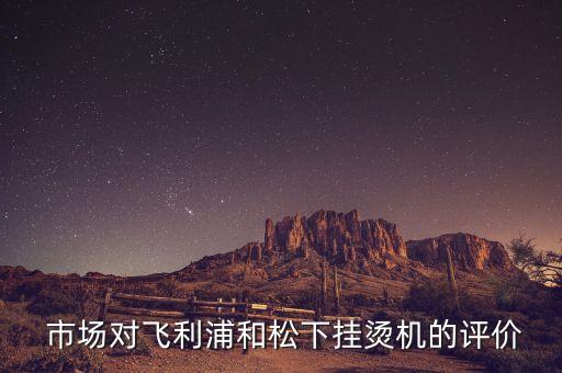 市场对飞利浦和松下挂烫机的评价