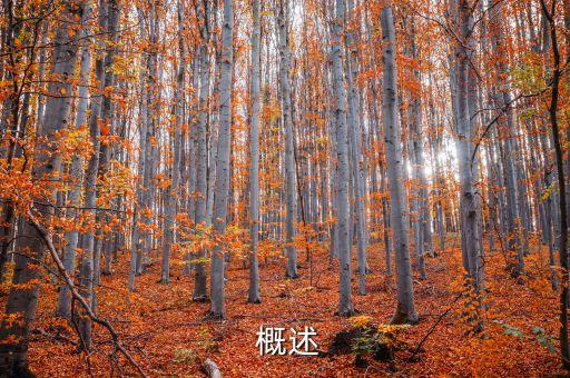 概述