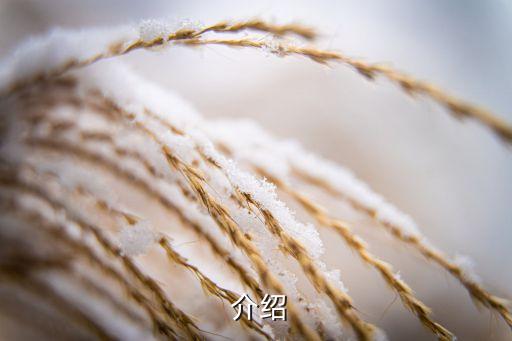 介绍