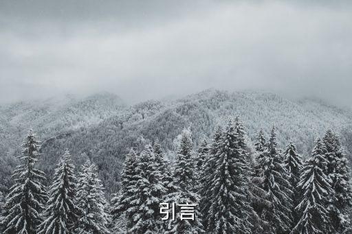 引言