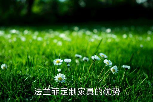法兰菲定制家具的优势