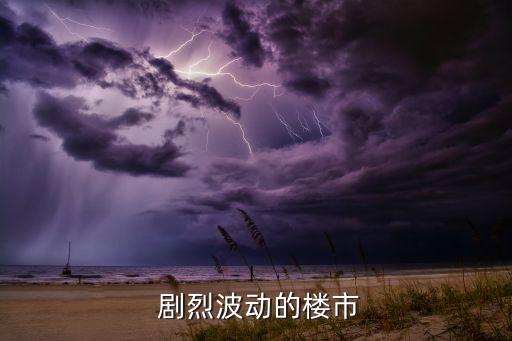 剧烈波动的楼市
