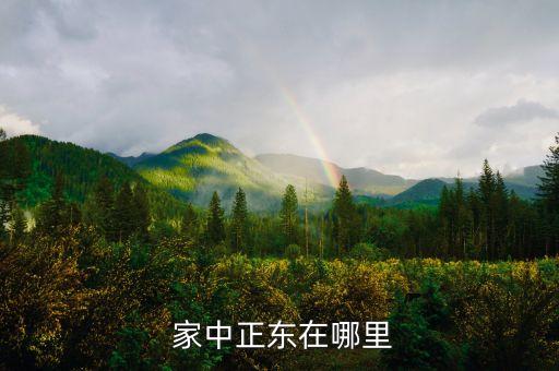 家中正东在哪里