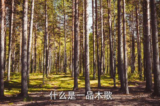 什么是一品木歌