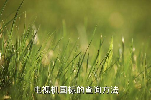 电视机国标的查询方法
