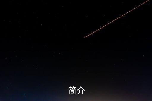 简介