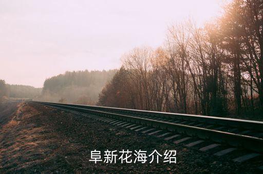 阜新花海介绍