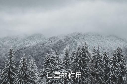 口罩的作用