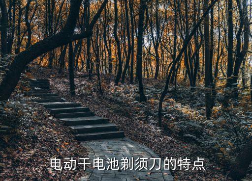 电动干电池剃须刀的特点