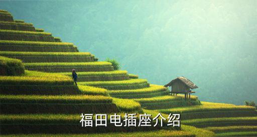 福田电插座介绍