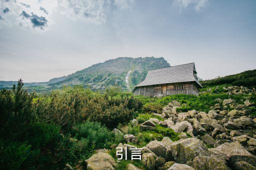 引言