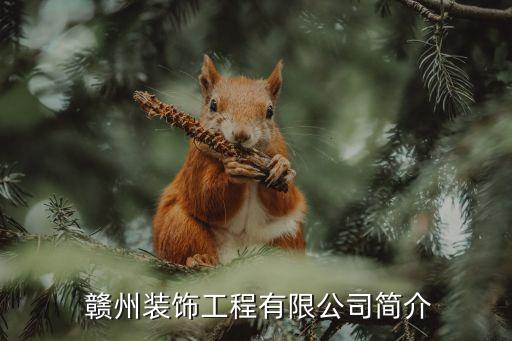 赣州装饰工程有限公司简介