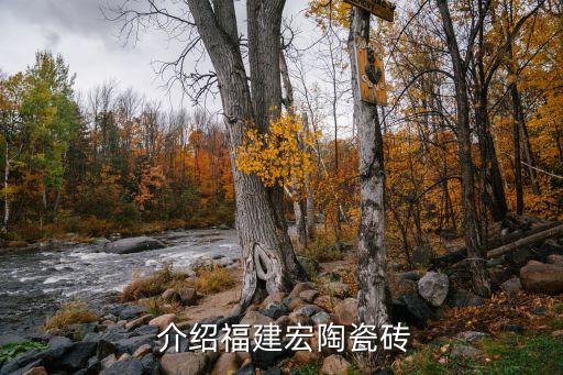 介绍福建宏陶瓷砖
