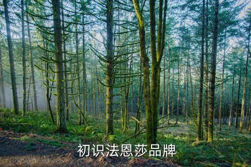 初识法恩莎品牌