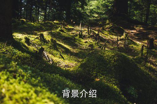 背景介绍