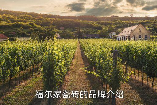 福尔家瓷砖的品牌介绍