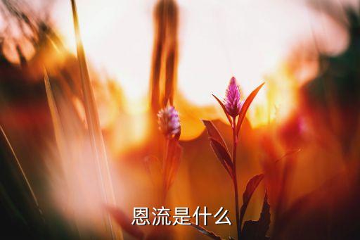 恩流是什么