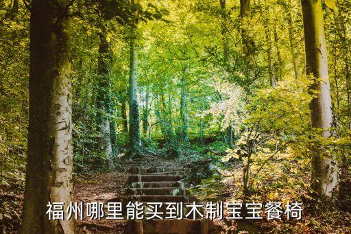 福州哪里能买到木制宝宝餐椅