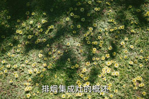 排烟集成灶的概述