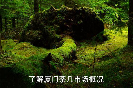 了解厦门茶几市场概况