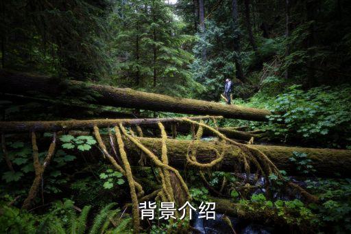 背景介绍