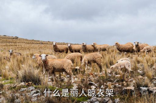 什么是丽人晾衣架