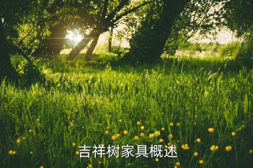吉祥树家具概述